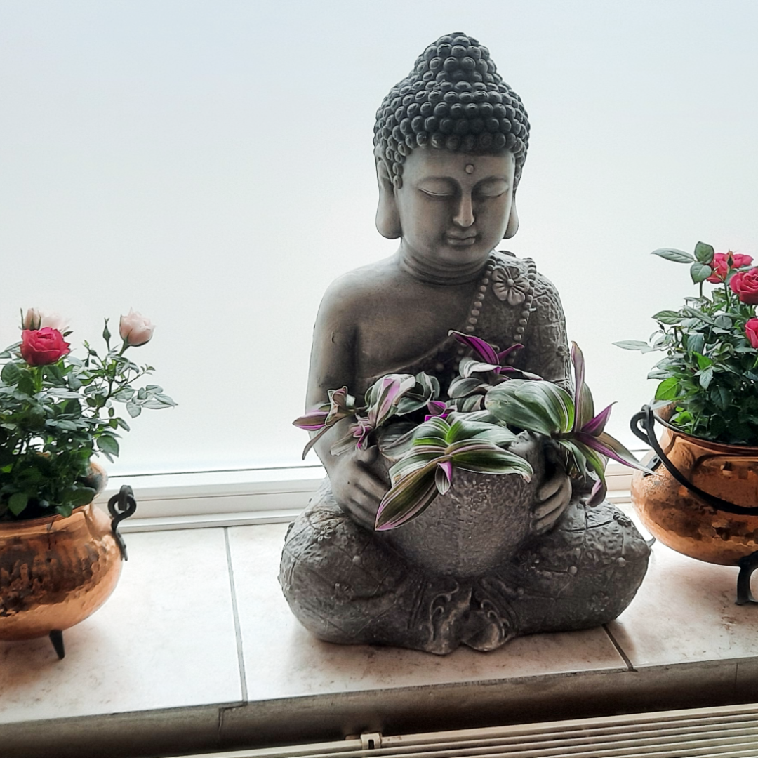 Casa Energia Hamburg, Buddha Fenster